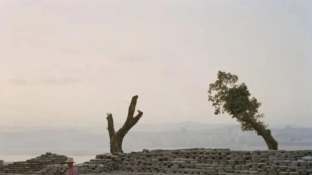 “为什么有人因为网暴而死，而我感觉我能扛得住网暴？”