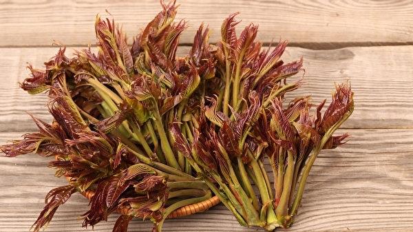 一村子头年种香椿就被胖东来包圆！有村民1天收入2000元