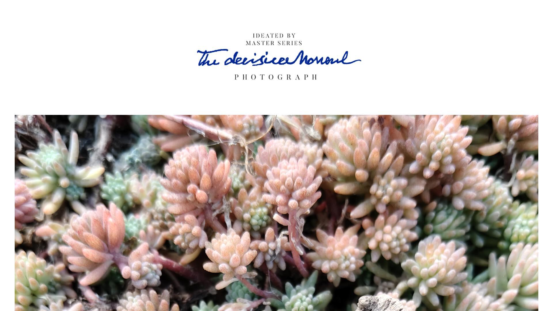 过年想给长辈送个智能手机？一起看看有哪些适合的机型