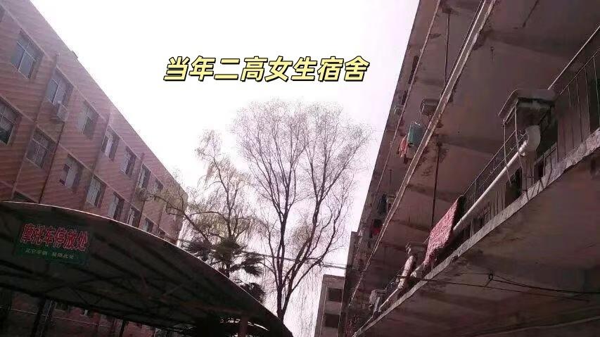 匿名控诉：男教师涉嫌性侵未成年学生，二十三年创伤难愈，受害者呼吁正义追责