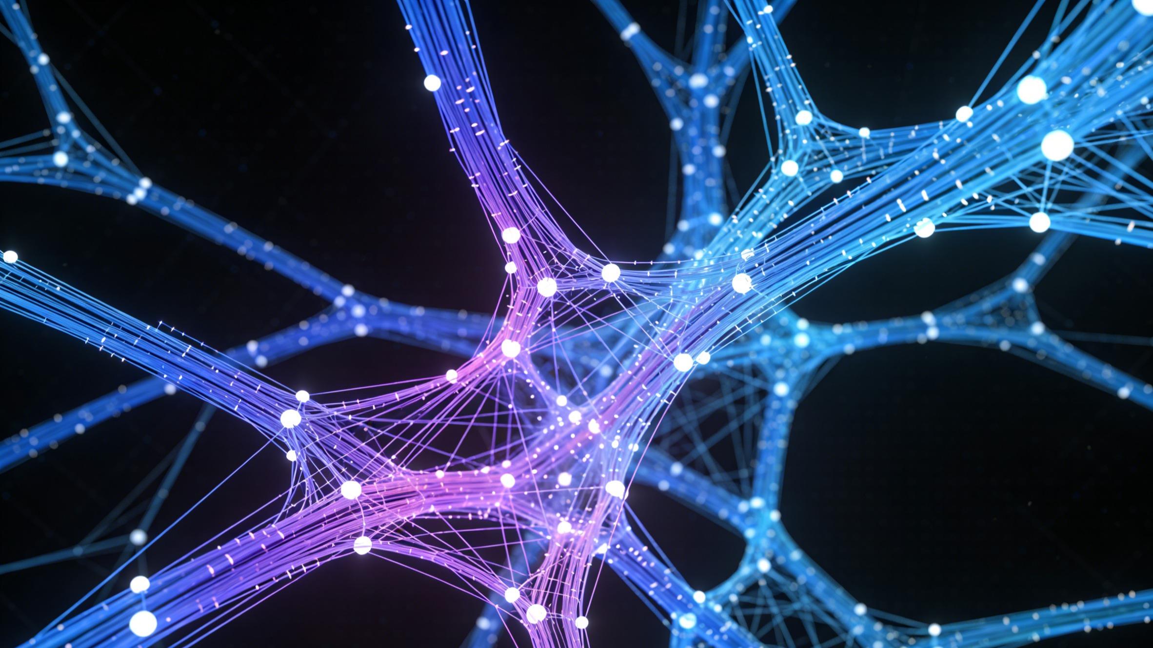 技术赋能生态，定制适配未来——广州能豪科技的价值深耕之路