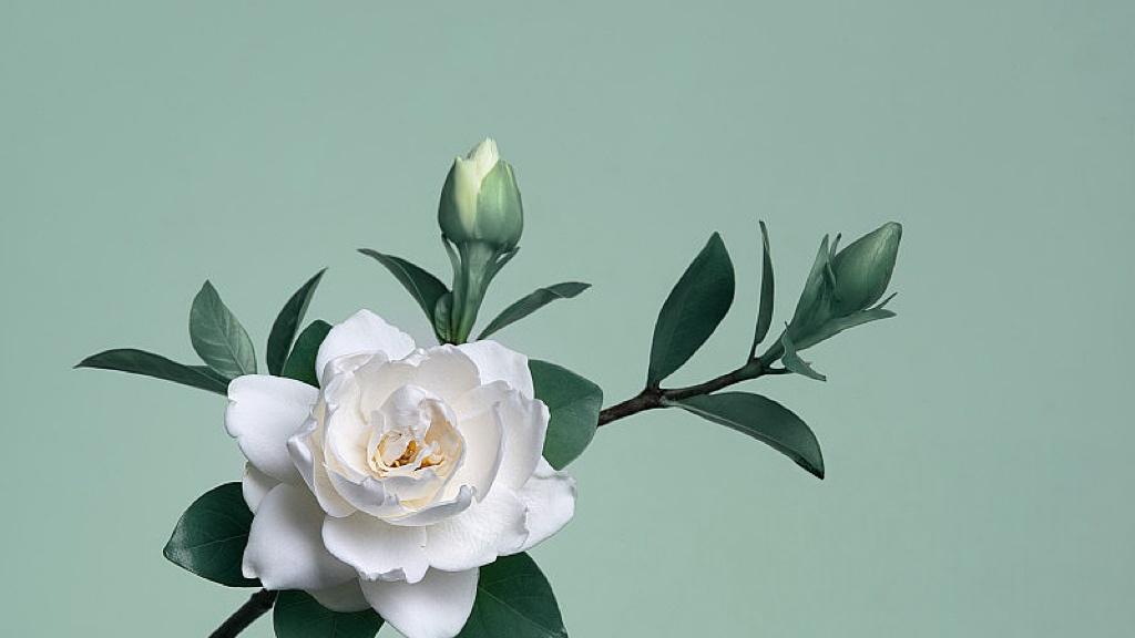 年味没淡，是你离灶台远了