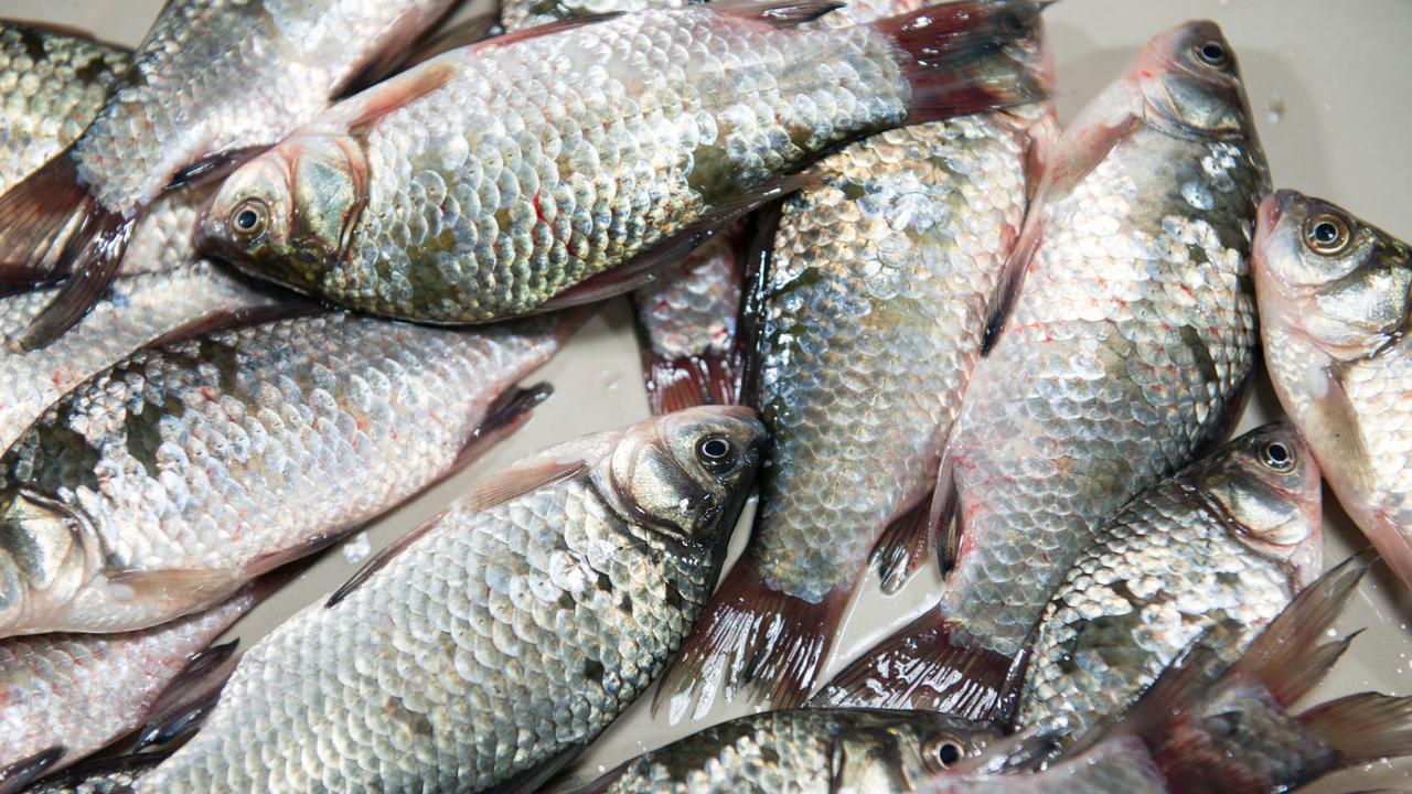 4月吃鱼，提醒大家：避开鲫鱼和带鱼，多吃3种，应季鲜美别不懂吃