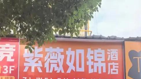 又来一起？锦江商标争议：大公司“霸凌”，还是小商家踩线？