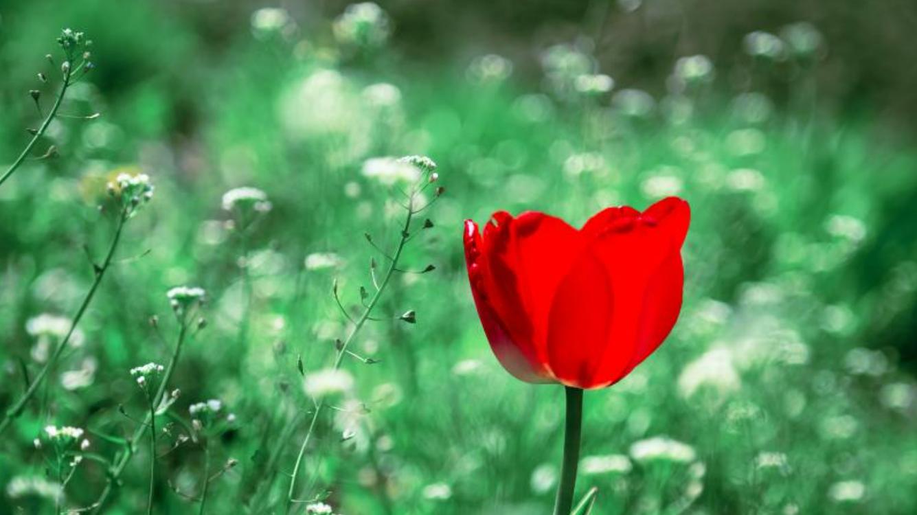 男人的坦白：男人对你的嫌弃，其实始于一件事，与爱不爱无关