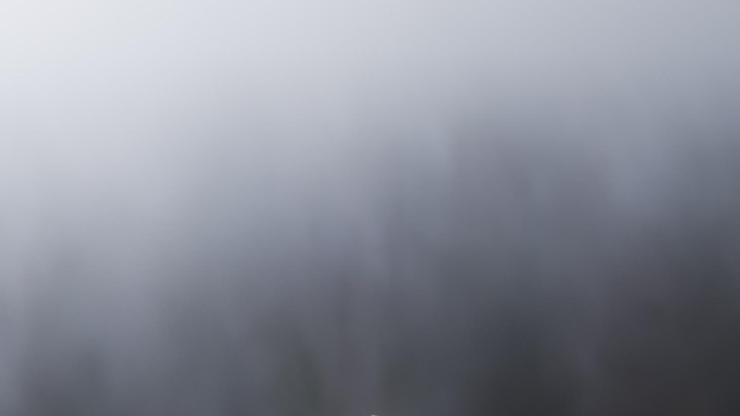 为什么读更多的书并没有让我变得更聪明