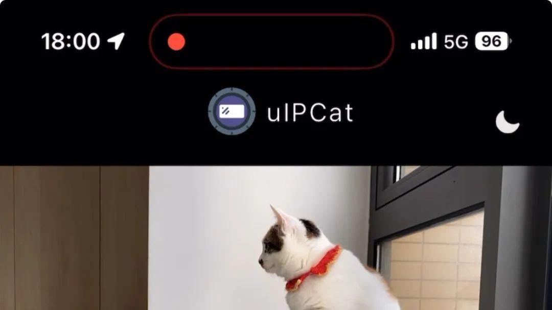 15个高手私藏网站