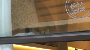 赵徐沁萌：让包容与理解取代偏见与排斥——话剧剧本《我没错》创作阐释