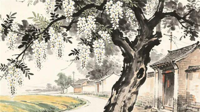 槐花树 | 石会文
