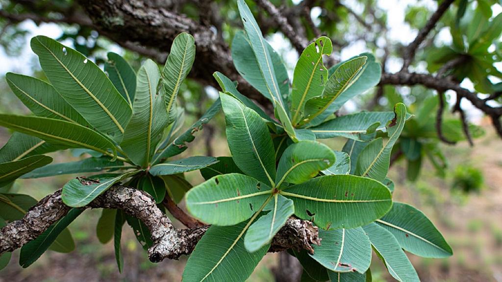 AI学会“交朋友”了？