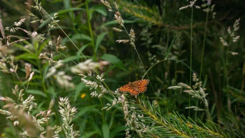 家电又要涨价！美的海信TCL泡泡玛特出手海尔小米九阳索尼有变
