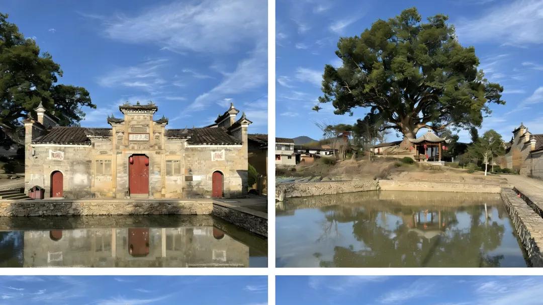 锚定进士文化 IP ｜趣淘村携主理合伙人赴进贤村共启乡建新程