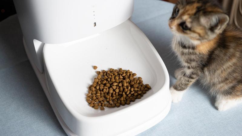 RFID宠物喂食器实现多维度健康监控