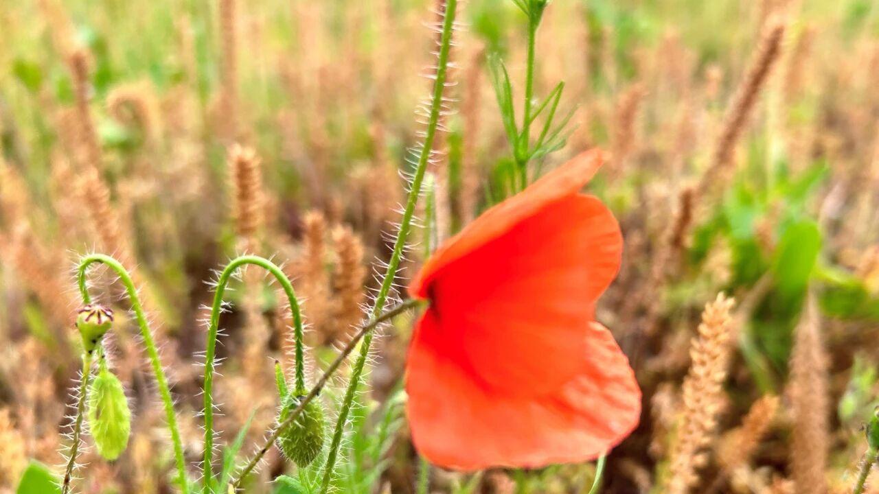 中年夫妻，被伴侣背叛，为什么还要挽回婚姻