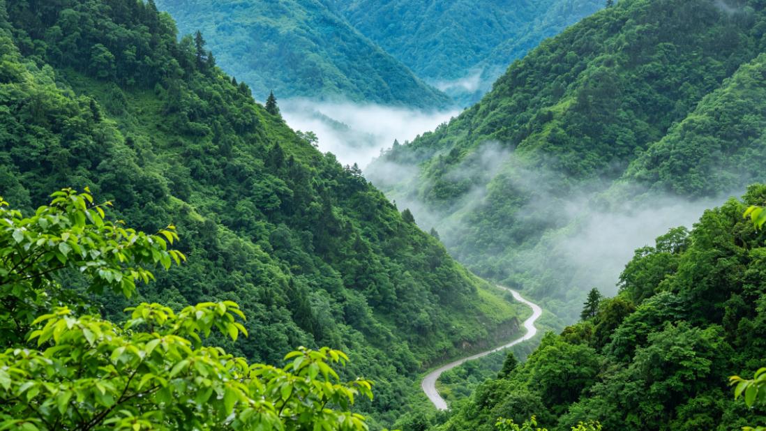 邪yin，感召邪fa，令自己混混沌沌