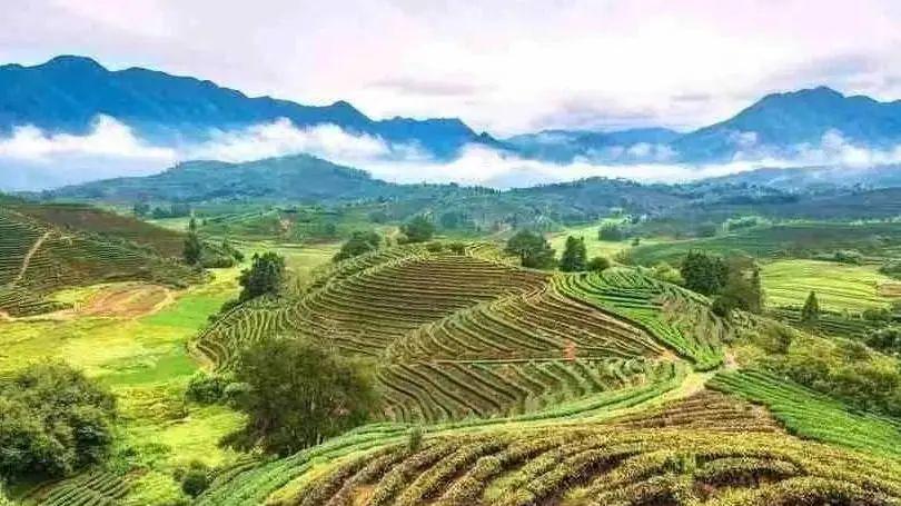 解码中欧地理标志协定：中国十大“地标名片”的地理密码与人文价值