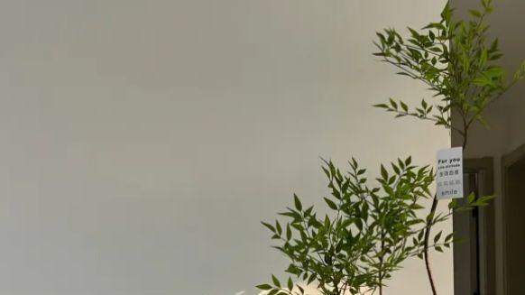 客厅的灵魂角落：方寸之间，藏尽松弛与显贵感