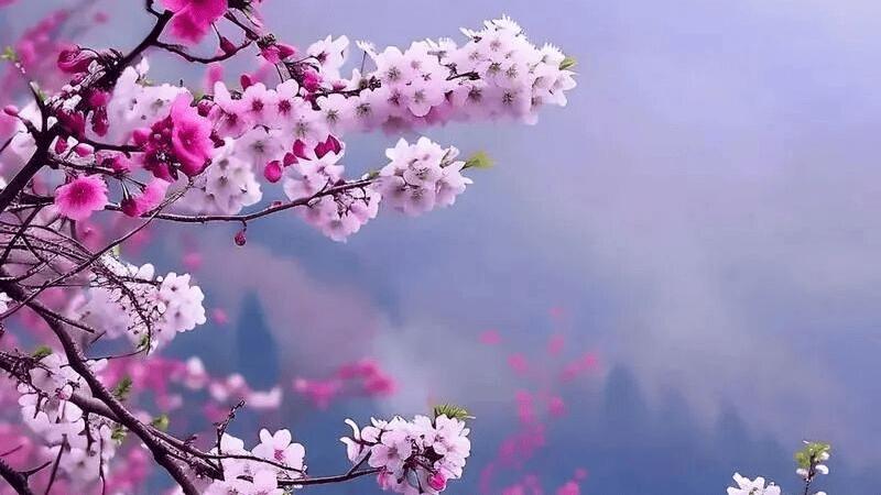 名家美文‖黄秀生：人间最美四月天