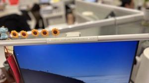 竖屏旁边怎么补光？先看主横屏前方的工作区