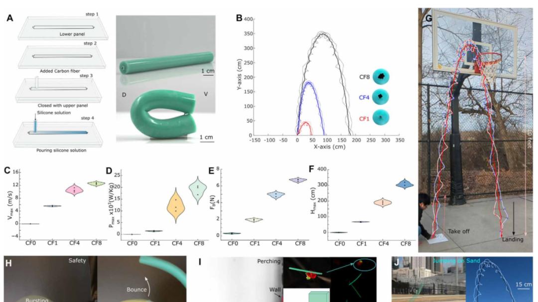 Science Robotics | 70微秒弹开，20倍体长跳高：你的控制算法可能不如线虫一个‘结