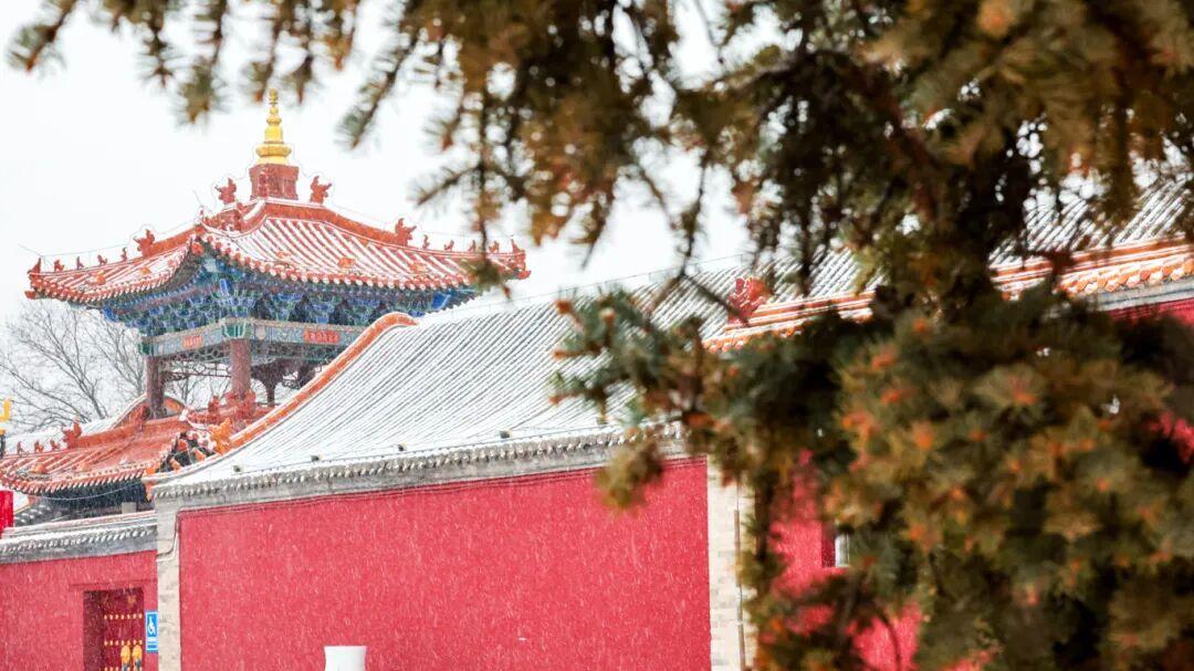 2026来内蒙古过大年 全域联动构体系 多维线路解锁内蒙古新春新玩法