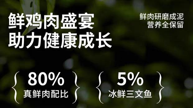 什么牌子的猫粮好？2026猫粮热门品牌深度实测