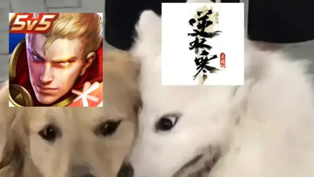 逆水寒新世界对王者荣耀“强制爱”，丢人丢到热搜了