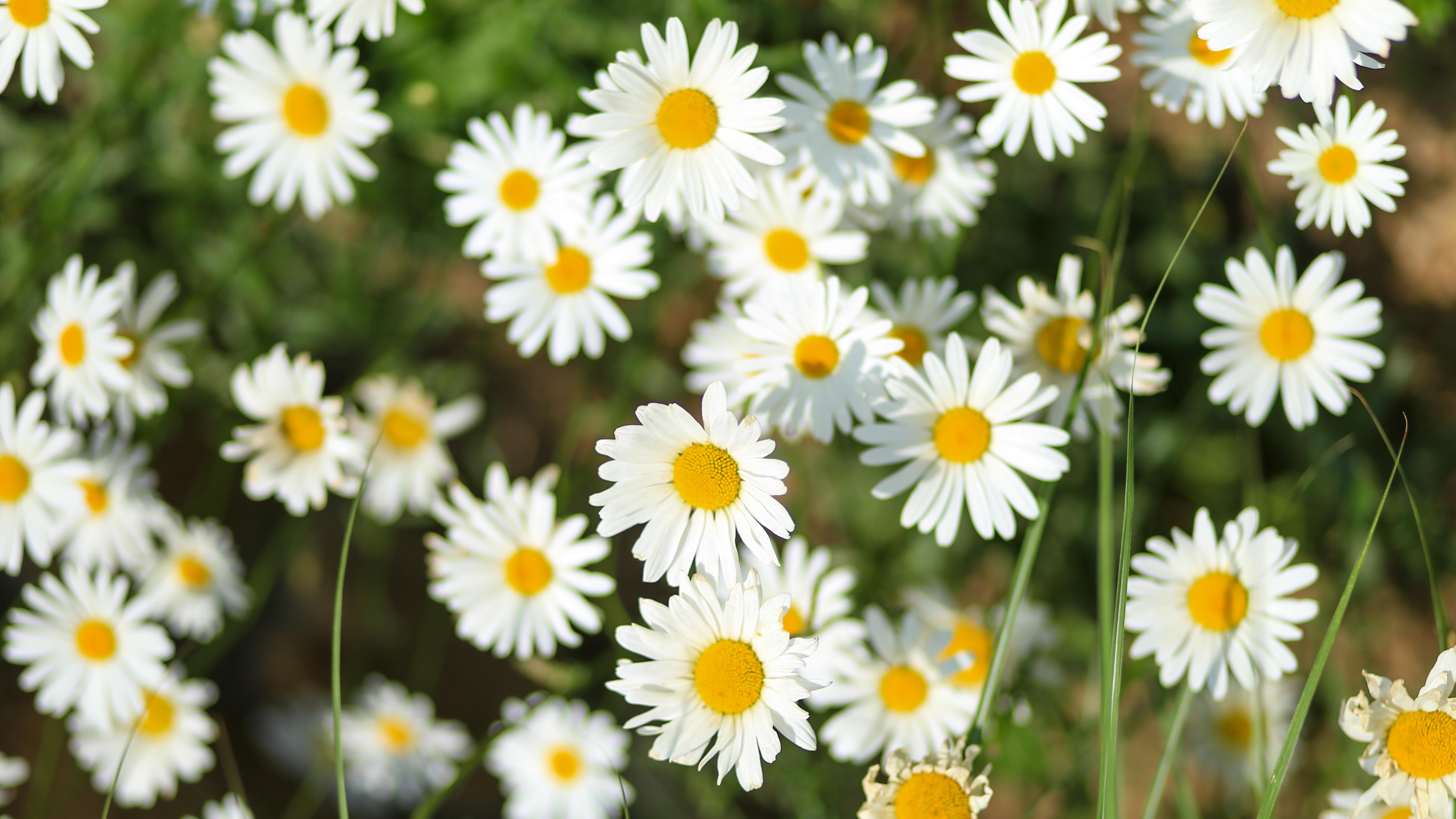 5G还没玩明白，6G就要“换脑子”了？