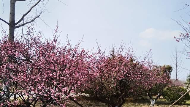提升孩子内驱力最好方法：学会倾听，不催不吵不评判，但要有边界