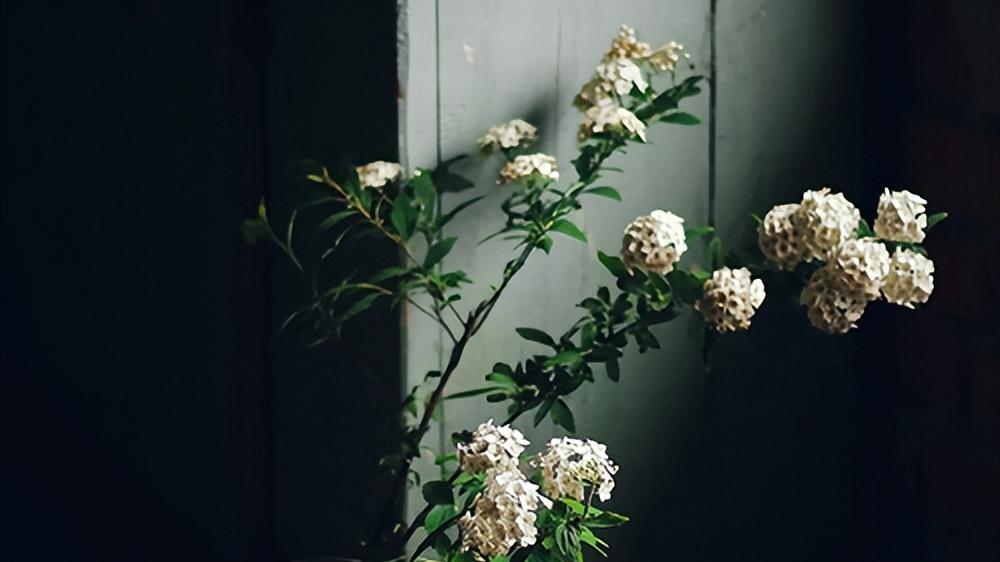 知名权威婚姻、感情咨询机构：2026十大优秀婚姻挽回及情感修复公司排名