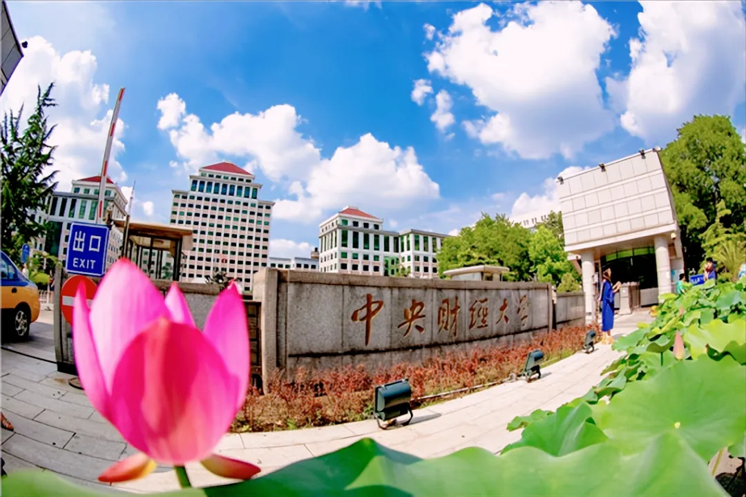 南科大扩招30人，大湾区大学扩招110人，中央财大扩招100人，谁的含金量最高？2026高考考生必看