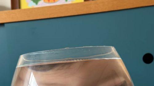 孩子顶嘴未必是坏事，他在练习独立思考