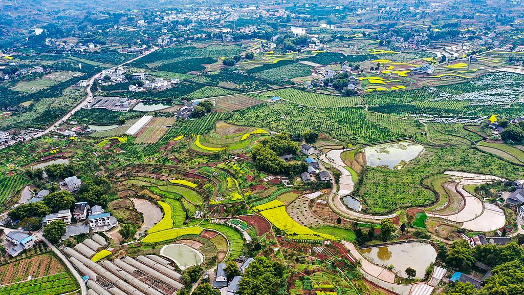 2026年换届之后村干部会涨工资，先别眼红，看完这三条再说说