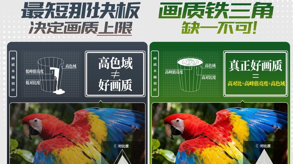 2026年电视怎么选？看我给爸妈选的TCL Q10M Pro，全家人都夸值