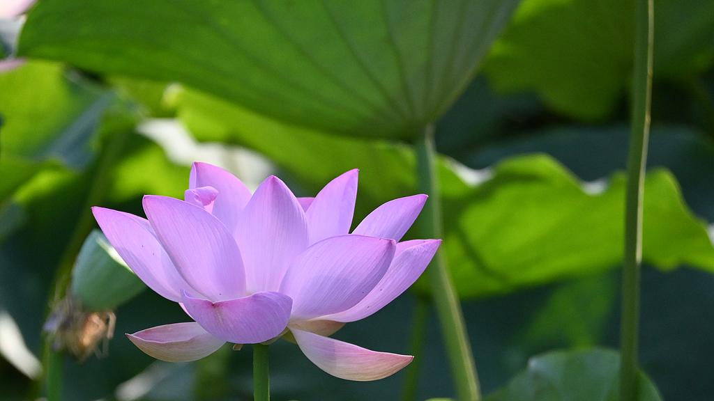 人以类聚物以群分