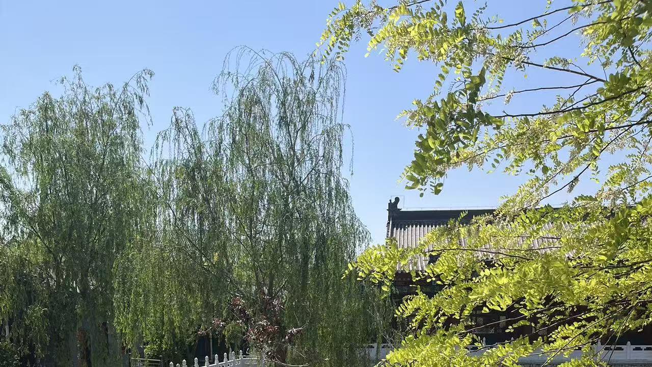 2026年每日通盛及各生肖运势4月27日