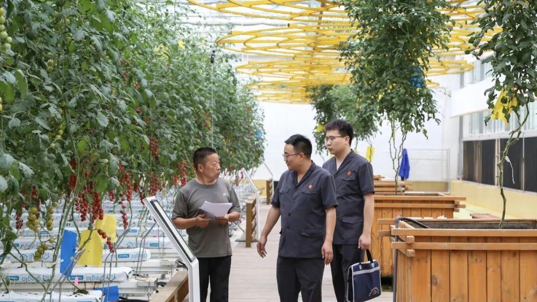 临潼一法庭荣获全省法院人民法庭工作成绩突出集体