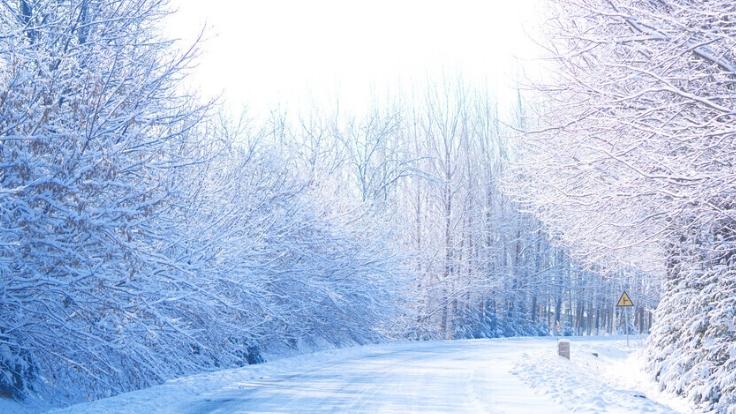 风雪锁途，停课通知里藏着最深的温柔