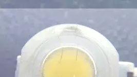 LED灯珠金线纯度识别