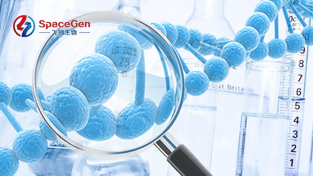 子宫内膜癌分子分型中MMR结果和MSI结果不一致怎么办？