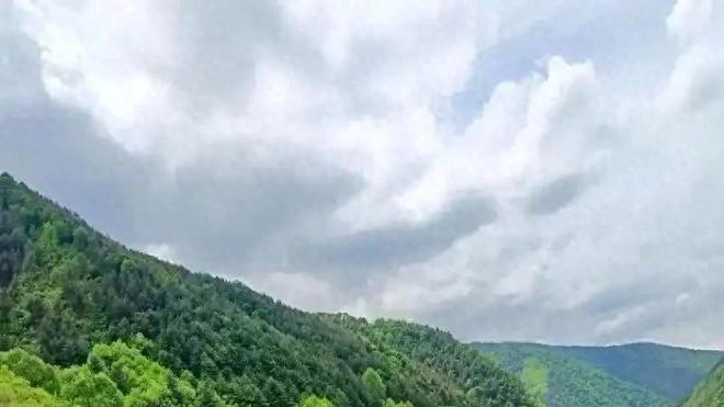 你以为回老家过年，大家还会关注你开什么车？大家只在乎这四个点