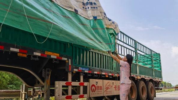 先结运费还是先卸货二选一？