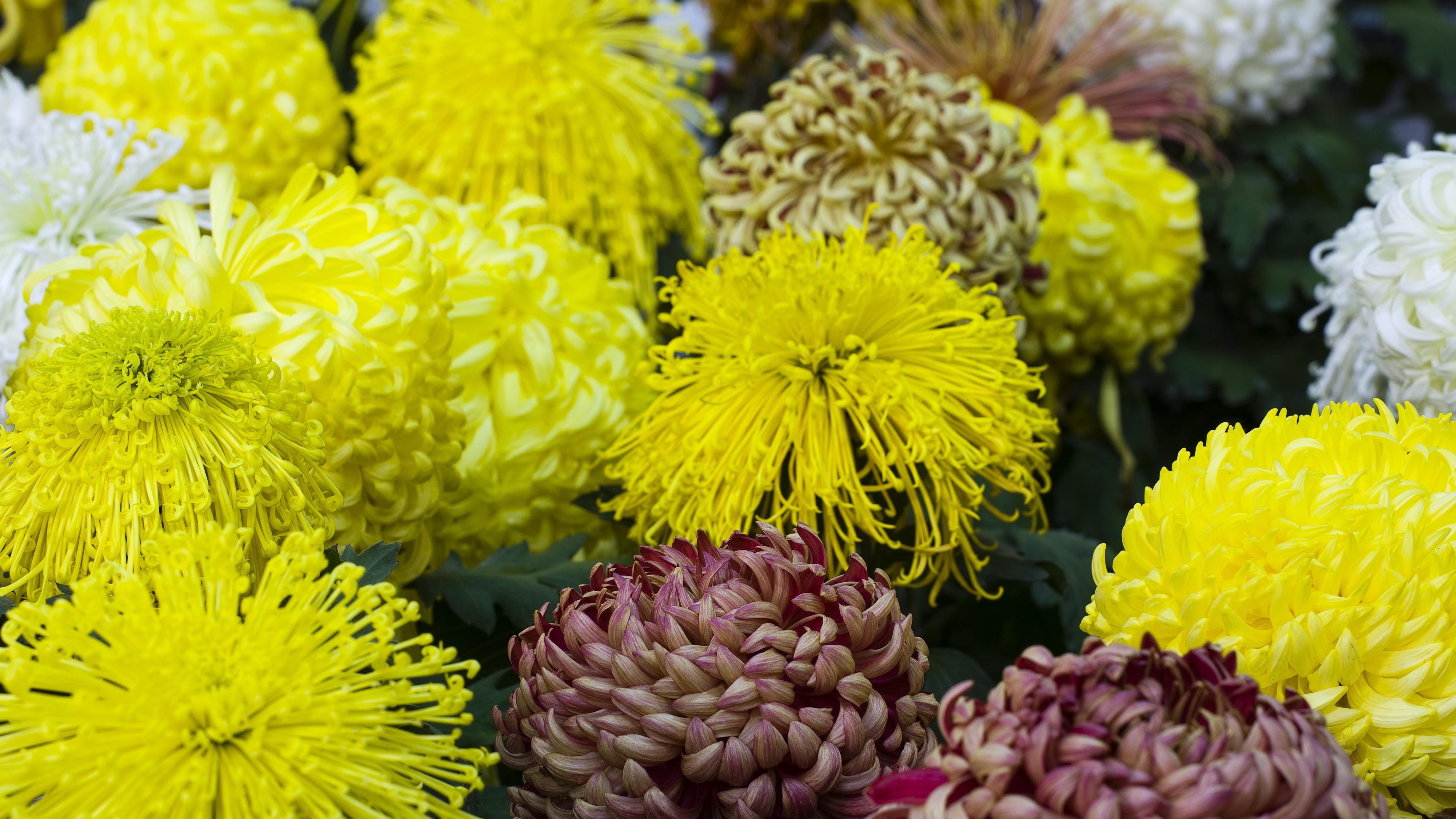 政府在悄悄“偷懒”，你却在跑腿变少