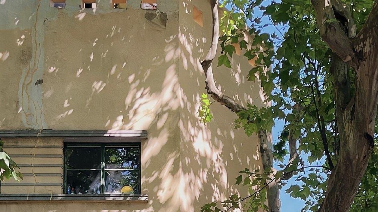 自考延期毕业了怎么办？如何调整心态和计划？