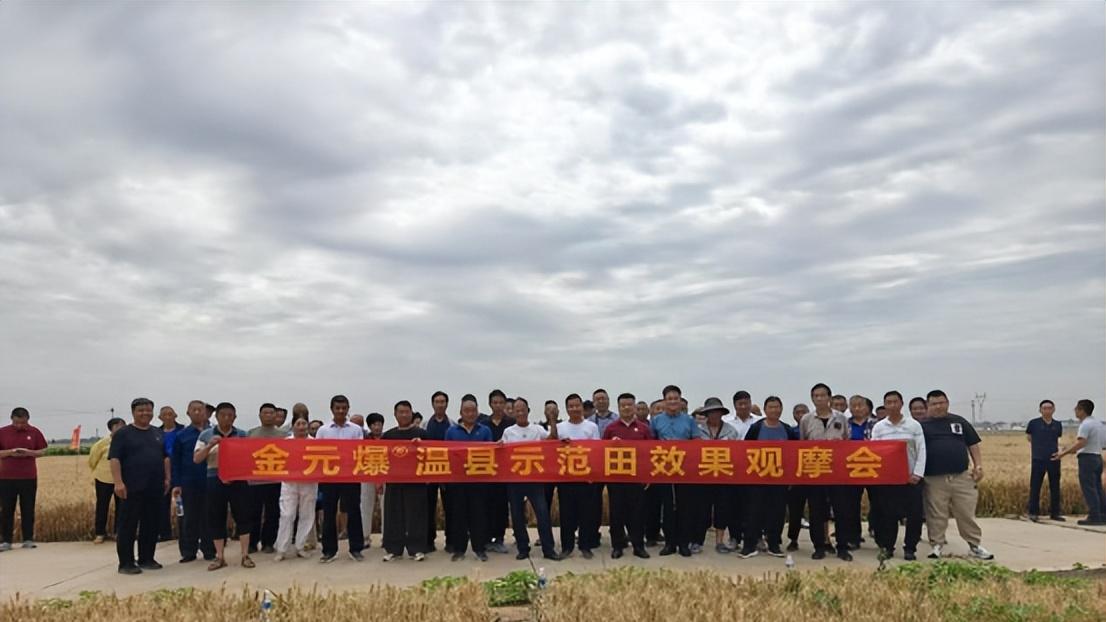 金元爆微生物菌剂引领作物健康新赛道