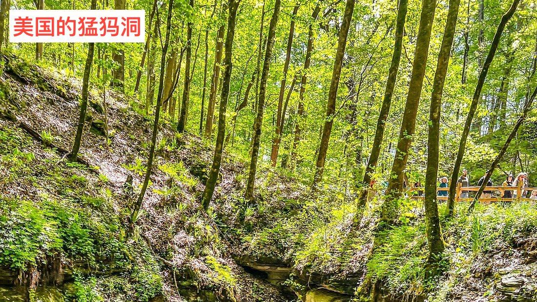 洞穴最深能有多深？