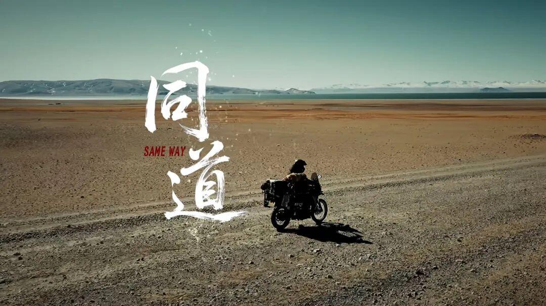 见困必援，同道相守！从骑士互助公约说起