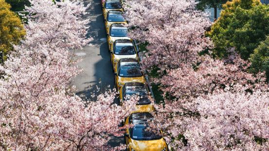 激光雷达是“豪车专属”？这台车把它拉到了20万级？