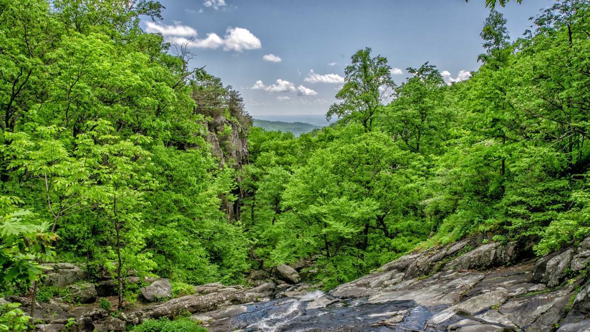 带封面的全平台文章分发测试系统记录