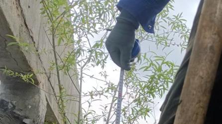 牡丹江市爱民区一大棚配套水沟30余年占用引纠纷 相关诉求仍待协调解决